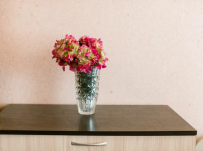 Апартаменты на Московской 1