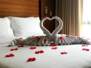 Отель Sacha's Hotel Uno