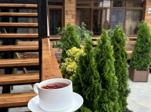 Отель Лилия