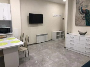 Апартаменты Central Vladivostok Апартаменты с Террасой