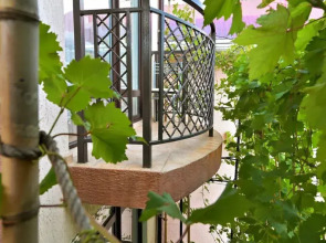 Гостевой дом Моне