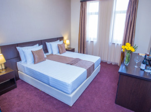 Отель Ani Central Inn