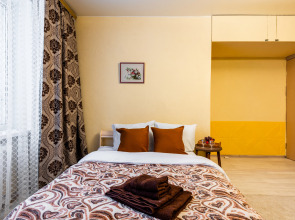 Уютные апартаменты Natali на метро Зюзино