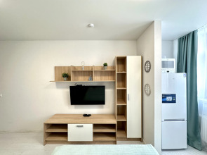 Апартаменты уютные Скат