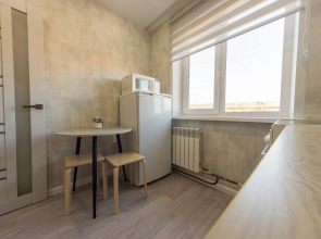 Апартаменты Домино по ул. Устиновича 14