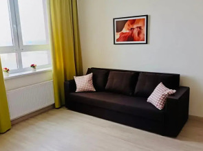 Апартаменты Студия на Краснолесья