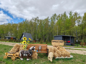 Dacha Bez Zabot Glamping