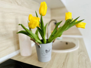 Апартаменты Стильная студия рядом с источниками.