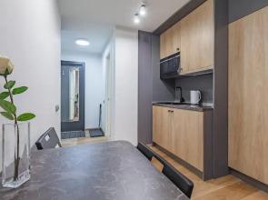 Апартаменты Лофт квартиры на Большой Подьяческой