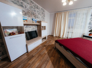 Однокомнатная квартира Сити Центр Чкалова 51/1