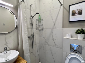 Апартаменты Серебрянический (7)