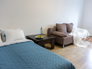 Квартира на Московском проспекте 209