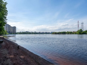 Квартира 31 этаж с видом на Неву