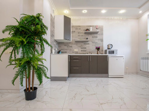 Апартаменты Пацаева 20А