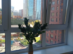 Апартаменты Бобродом Центр правого берега