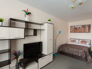 Belye Nochi U Ledovoy Areny Apartments