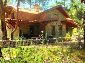 Cottage Aegean Holiday Villa Villa