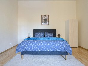 Апартаменты в центре Санкт-Петербурга