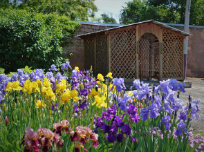 Мини-Отель Детская Туристская База