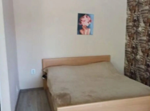Uyutnaya Ledoviy Dvorets Flat