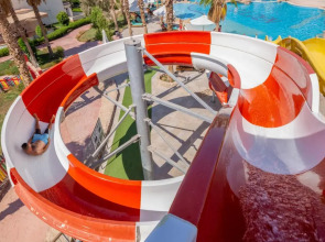 Amphoras Aqua Adults Friendly