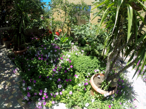 Гостевой дом Горлица