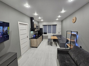 Квартира Олимпийская 87