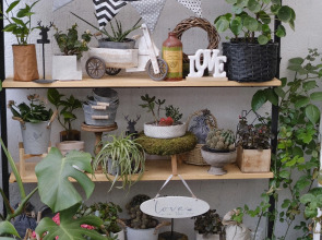 Квартира Старинный Дом с Двориком в Центре