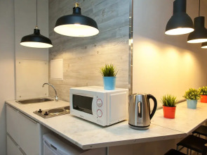 Апартаменты на Зелинского 1 (Кристалл)