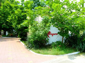 Margo Guest House