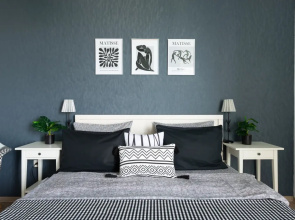 Novin House Contrast Home Apartments
