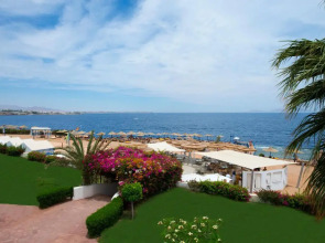 Amphoras Aqua Adults Friendly