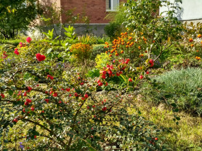 Апартаменты Homestay Vera