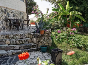 Отель Парадайз