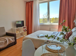 Апартаменты Видовая Студия Покровские