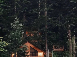 Domik v lesu Guest house