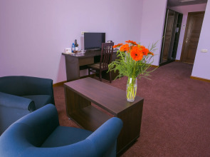 Отель Ani Central Inn