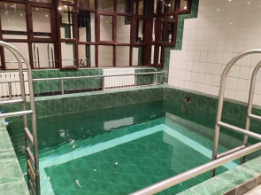 Санаторий-Профилакторий Лесной дворик ЖМЗ