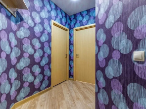 Апартаменты Миасская DreamHouse 1