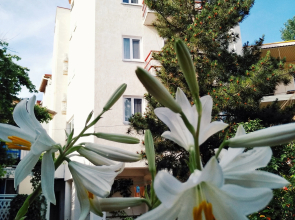 Bely Hotel