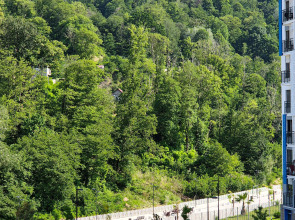 Квартира с Балконом в Одном из Самых Зеленых Районов Сочи
