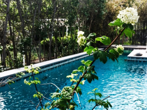Villa Efyra Guest House