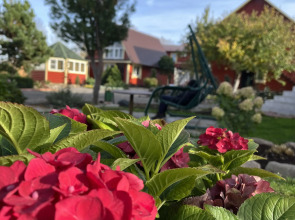 Гостевой дом Волшебный сад