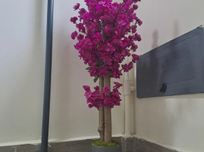 Апартаменты Taksi̇m Ni̇da Flats