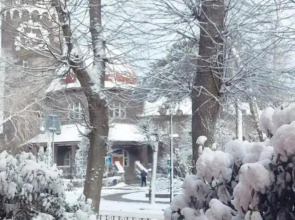 Апартаменты в Сердце Светлогорска