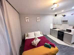 Studiya V Sovremennom Zhk Novy Gorod Flat