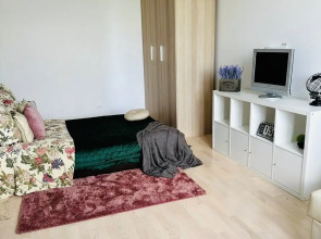 Апартаменты однокомнатные Live Petrogradka