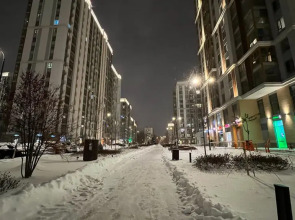 Апартаменты Botanical