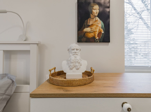 Апартаменты Обломов на Гребешковском откосе