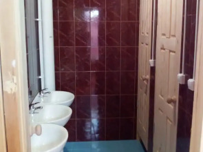 Хостел Вежливый Лось на Ботаническом Саду